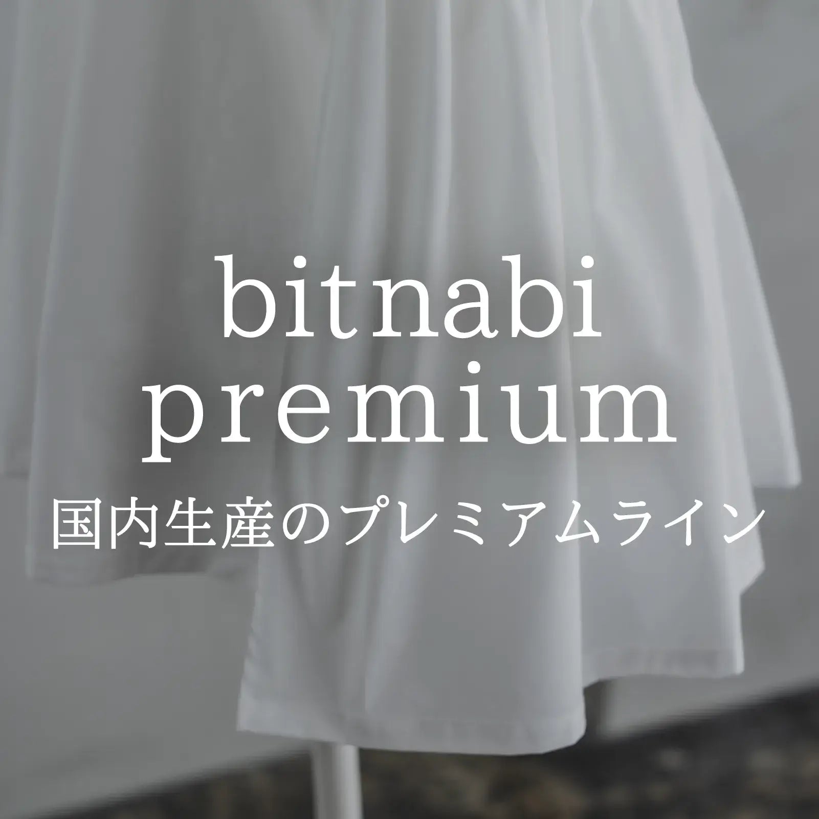 bitnabi premium