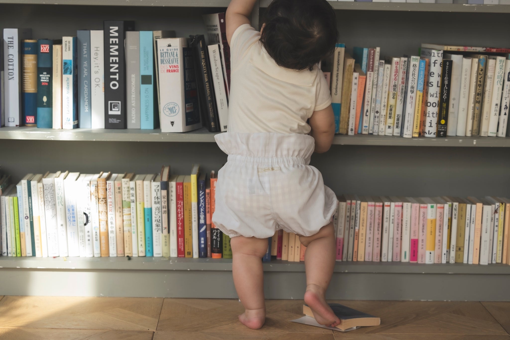 POPPO(ギンガムグレー)